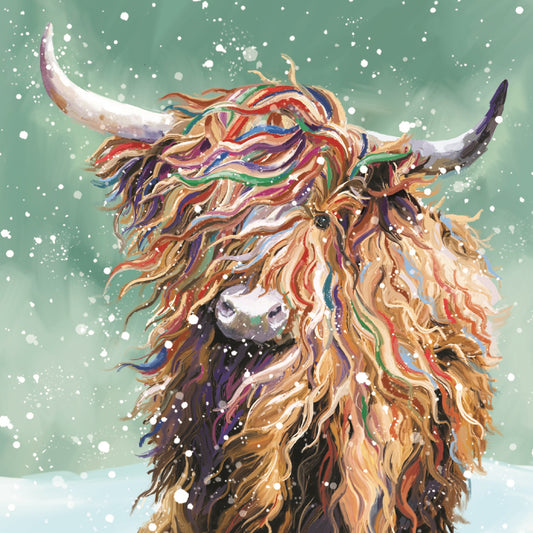 Highland Cow